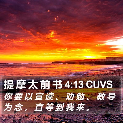 提 摩 太 前 书 4:13 CUVS Bible Verse Image