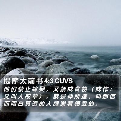 提 摩 太 前 书 4:3 CUVS Bible Verse Image