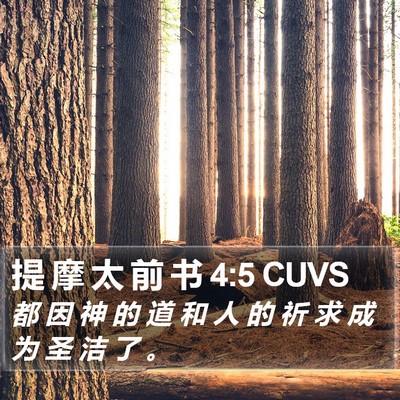 提 摩 太 前 书 4:5 CUVS Bible Verse Image
