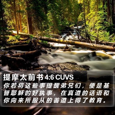 提 摩 太 前 书 4:6 CUVS Bible Verse Image