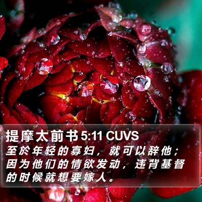 提 摩 太 前 书 5:11 CUVS Bible Verse Image