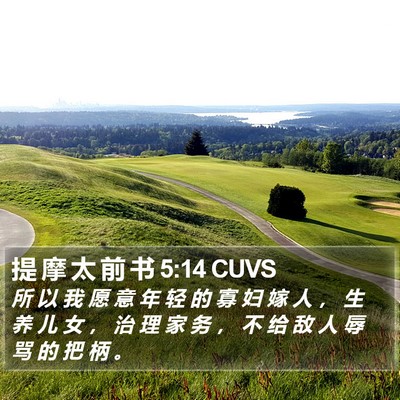 提 摩 太 前 书 5:14 CUVS Bible Verse Image