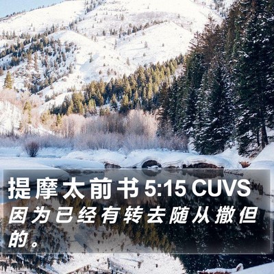 提 摩 太 前 书 5:15 CUVS Bible Verse Image