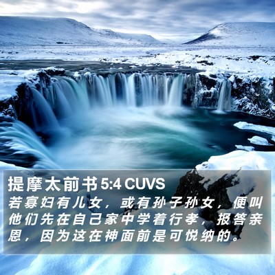 提 摩 太 前 书 5:4 CUVS Bible Verse Image