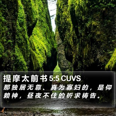 提 摩 太 前 书 5:5 CUVS Bible Verse Image