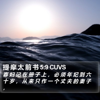 提 摩 太 前 书 5:9 CUVS Bible Verse Image