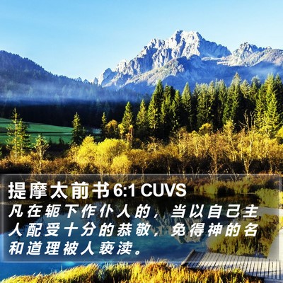 提 摩 太 前 书 6:1 CUVS Bible Verse Image