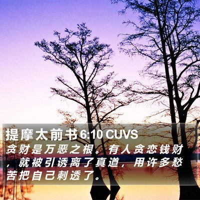 提 摩 太 前 书 6:10 CUVS Bible Verse Image