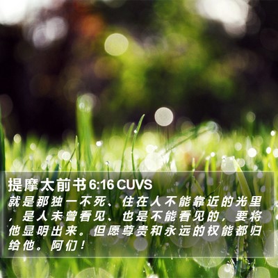 提 摩 太 前 书 6:16 CUVS Bible Verse Image