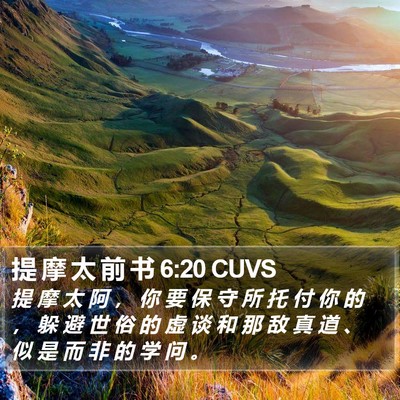 提 摩 太 前 书 6:20 CUVS Bible Verse Image