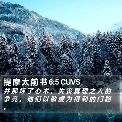 提 摩 太 前 书 6:5 CUVS Bible Verse Image