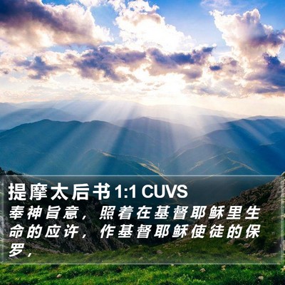 提 摩 太 后 书 1:1 CUVS Bible Verse Image