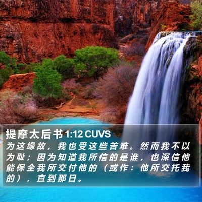 提 摩 太 后 书 1:12 CUVS Bible Verse Image