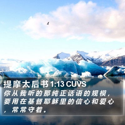 提 摩 太 后 书 1:13 CUVS Bible Verse Image