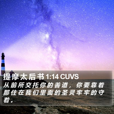 提 摩 太 后 书 1:14 CUVS Bible Verse Image