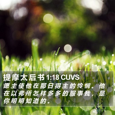 提 摩 太 后 书 1:18 CUVS Bible Verse Image