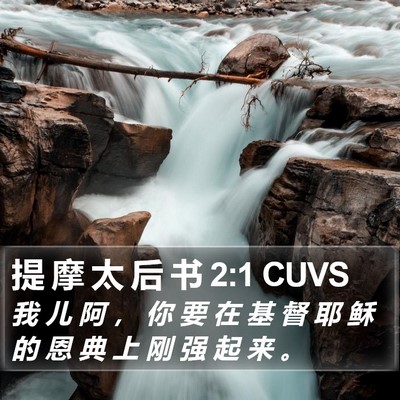 提 摩 太 后 书 2:1 CUVS Bible Verse Image