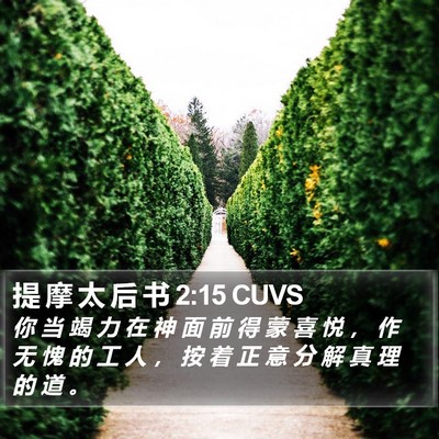 提 摩 太 后 书 2:15 CUVS Bible Verse Image