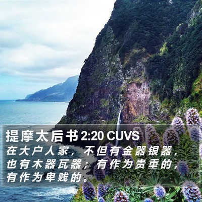 提 摩 太 后 书 2:20 CUVS Bible Verse Image