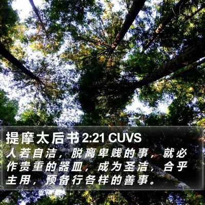 提 摩 太 后 书 2:21 CUVS Bible Verse Image