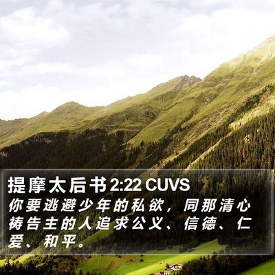 提 摩 太 后 书 2:22 CUVS Bible Verse Image