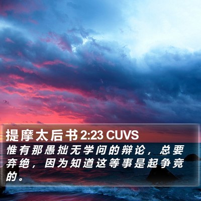 提 摩 太 后 书 2:23 CUVS Bible Verse Image