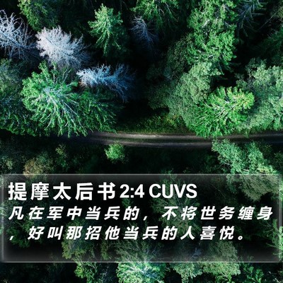 提 摩 太 后 书 2:4 CUVS Bible Verse Image