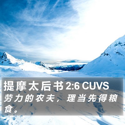 提 摩 太 后 书 2:6 CUVS Bible Verse Image