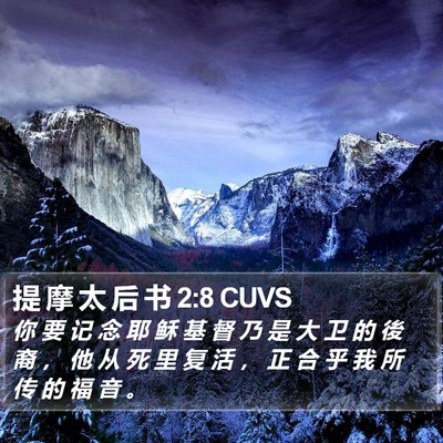 提 摩 太 后 书 2:8 CUVS Bible Verse Image