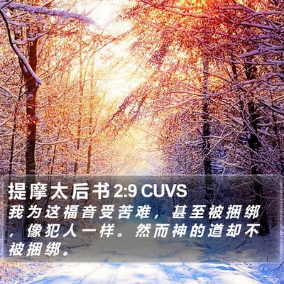 提 摩 太 后 书 2:9 CUVS Bible Verse Image