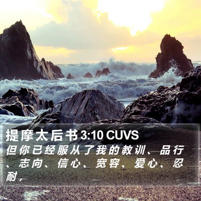 提 摩 太 后 书 3:10 CUVS Bible Verse Image
