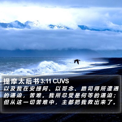 提 摩 太 后 书 3:11 CUVS Bible Verse Image