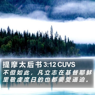 提 摩 太 后 书 3:12 CUVS Bible Verse Image