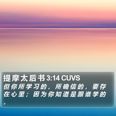 提 摩 太 后 书 3:14 CUVS Bible Verse Image