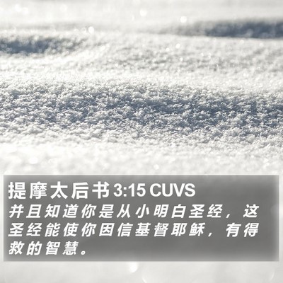 提 摩 太 后 书 3:15 CUVS Bible Verse Image