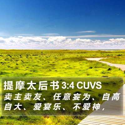 提 摩 太 后 书 3:4 CUVS Bible Verse Image