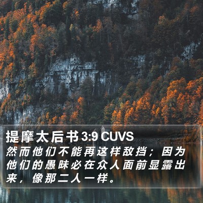 提 摩 太 后 书 3:9 CUVS Bible Verse Image