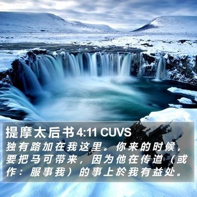 提 摩 太 后 书 4:11 CUVS Bible Verse Image