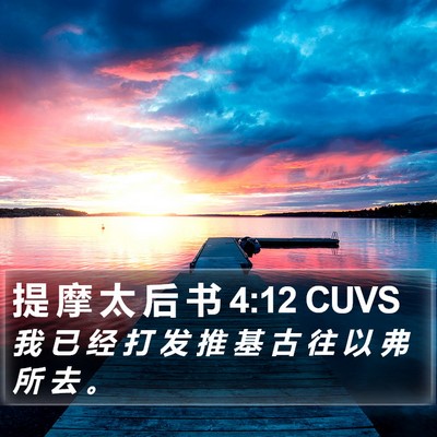 提 摩 太 后 书 4:12 CUVS Bible Verse Image