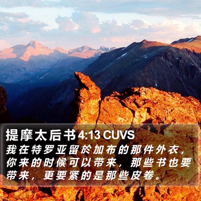 提 摩 太 后 书 4:13 CUVS Bible Verse Image