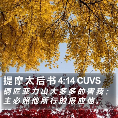 提 摩 太 后 书 4:14 CUVS Bible Verse Image