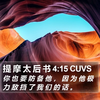 提 摩 太 后 书 4:15 CUVS Bible Verse Image