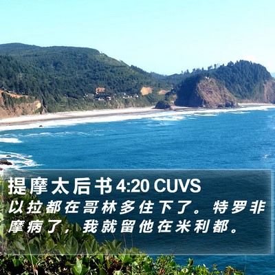 提 摩 太 后 书 4:20 CUVS Bible Verse Image