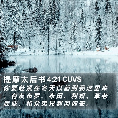 提 摩 太 后 书 4:21 CUVS Bible Verse Image