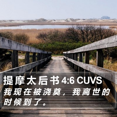提 摩 太 后 书 4:6 CUVS Bible Verse Image