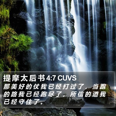 提 摩 太 后 书 4:7 CUVS Bible Verse Image