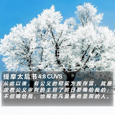 提 摩 太 后 书 4:8 CUVS Bible Verse Image