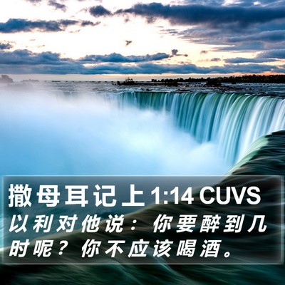 撒 母 耳 记 上 1:14 CUVS Bible Verse Image