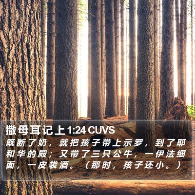 撒 母 耳 记 上 1:24 CUVS Bible Verse Image