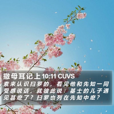 撒 母 耳 记 上 10:11 CUVS Bible Verse Image